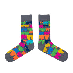 Spencer Flynn Socks - Mens