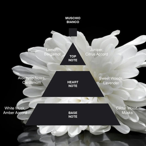 Acca Kappa White Moss Eau de Parfum