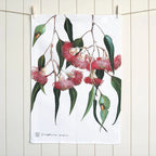 Australian Native Tea Towel - Eucalyptus
