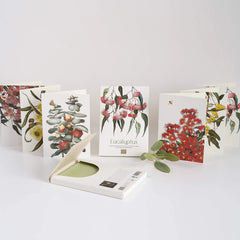 Eucalyptus Collection - Card Set