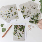 The White Collection - Card Set