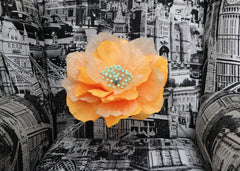 Paper Flower - Large