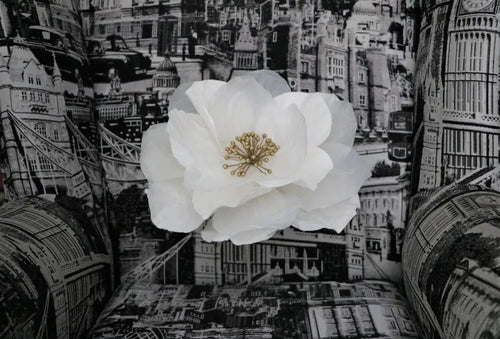 Paper Flower - Large