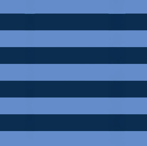 Packing Cube Set - Blue Stripe