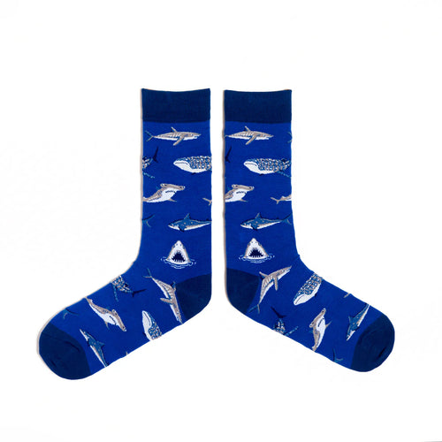 Spencer Flynn Socks - Mens