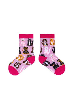 Spencer Flynn Kids Socks 2-4yo