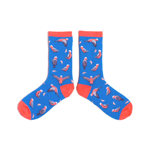 Spencer Flynn Female Socks