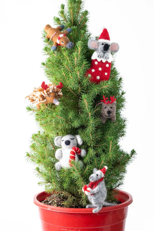 Koala Stocking Christmas Decoration