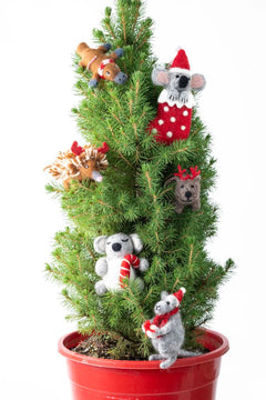 Koala Candy Cane Christmas Decoration