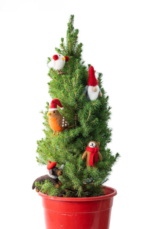 Felt Decoration Chicken Cherie
