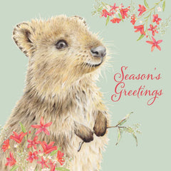 Charity Christmas Cards 2026