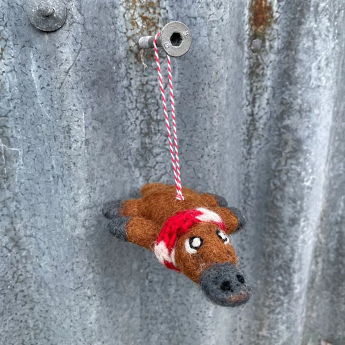 Platypus Pete Christmas Decoration