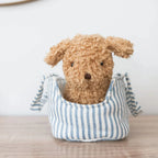 Toffee the Puppy & Carrier