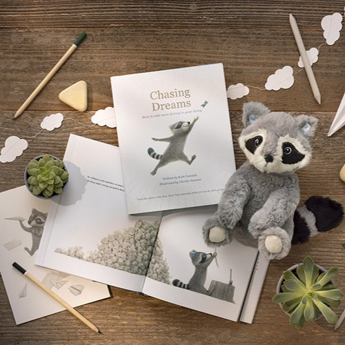 Chasing Dreams - Raccoon Plush