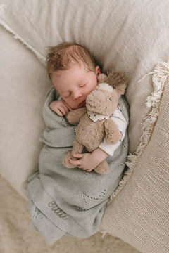 Harvey The Horse Rattle