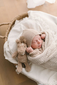 Harvey The Horse Rattle