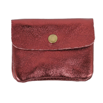 Metallic Coin Purse