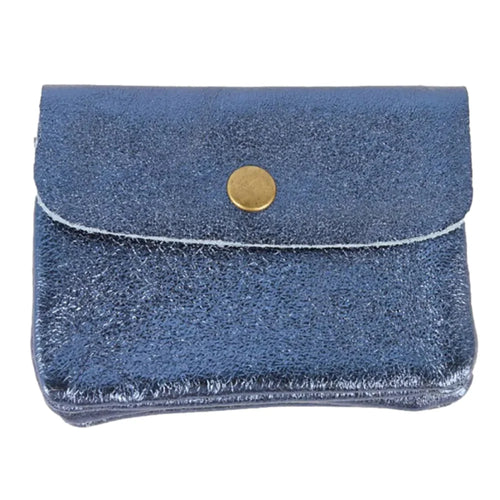 Metallic Coin Purse