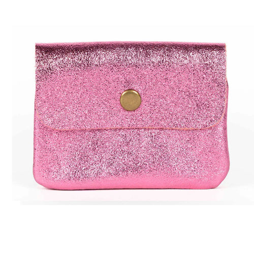 Metallic Coin Purse