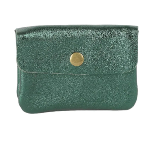 Metallic Coin Purse