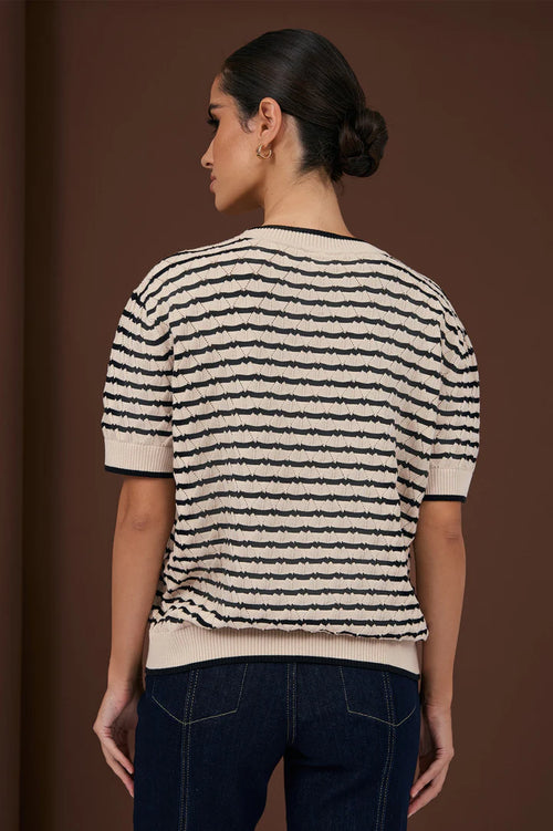 Stripe Cotton Knit - Short Sleeve