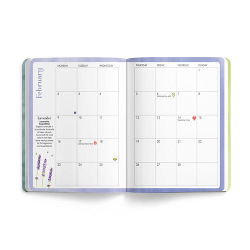 Bee Diary 2026