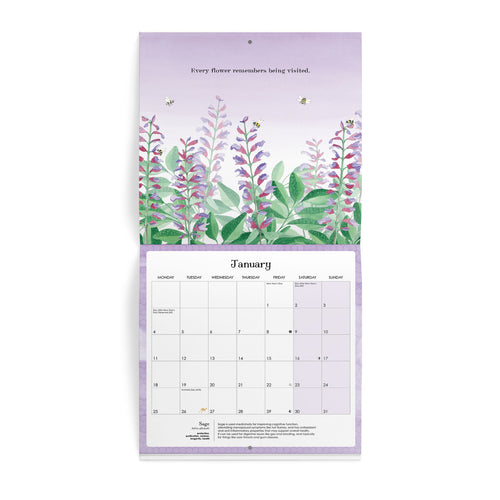Nature Wall Calendar 2027