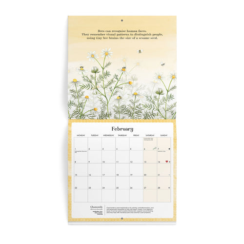 Nature Wall Calendar 2027