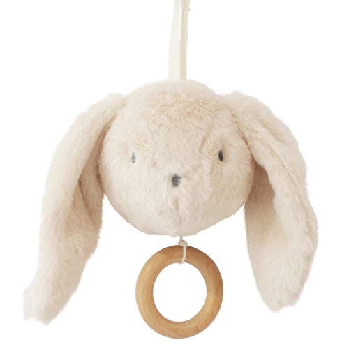 Darcey Bunny Musical