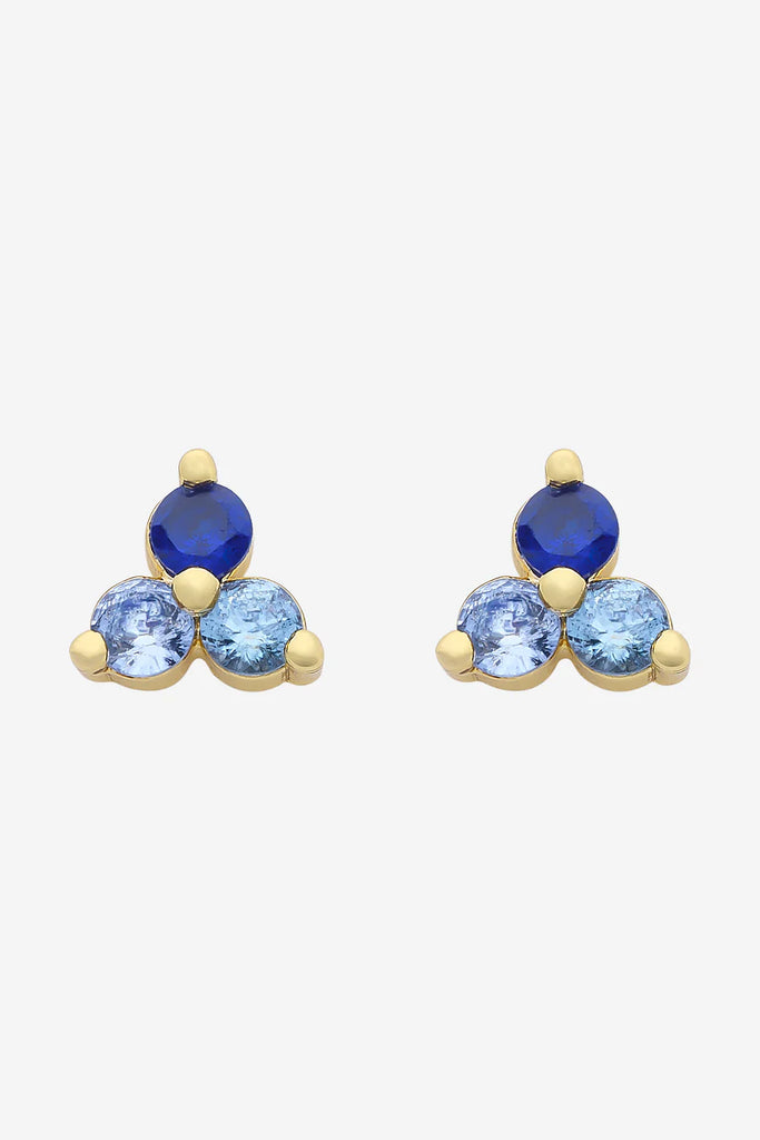 Rosalie Arctic Earring