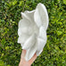 Magnolia Flower - wall mount