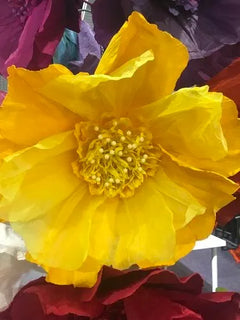 Paper Flower - XL