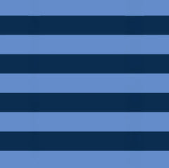 Packing Cube Set - Blue Stripe