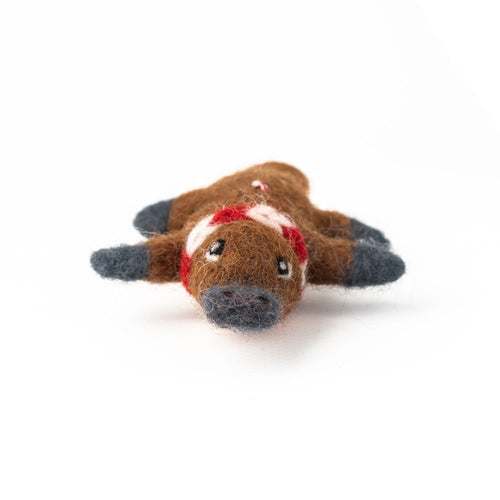Felt Decoration Platypus Pete