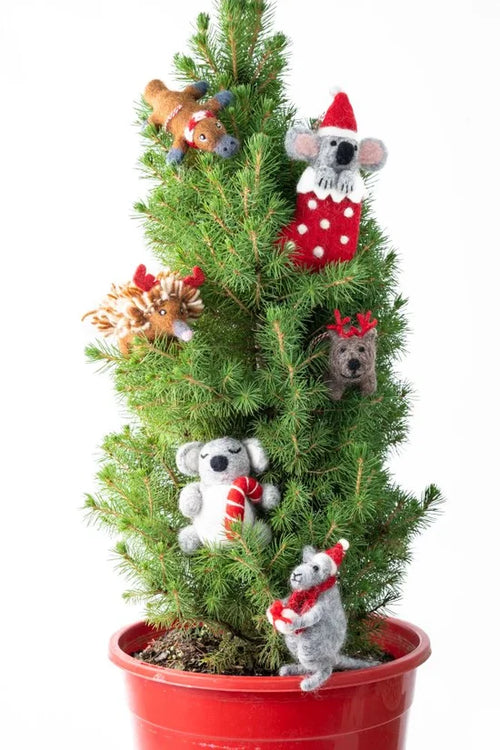 Felt Decoration Koala Candy Cane