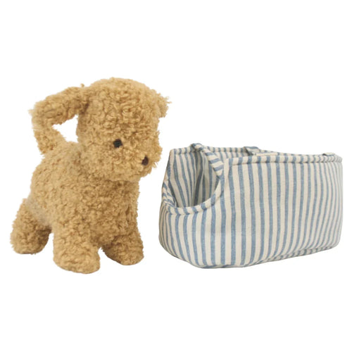 Toffee the Puppy & Carrier