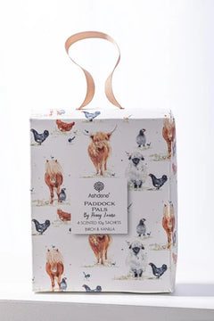 Birch and Vanilla 4pk Sachets