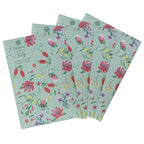 Flannel Flower 4pk Sachet