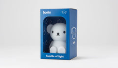 Bundle of Light