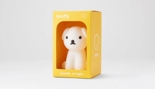 Bundle of Light