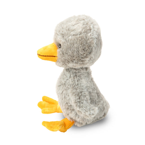 Finding Muchness - Duck