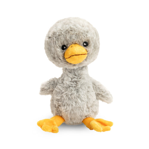 Finding Muchness - Duck
