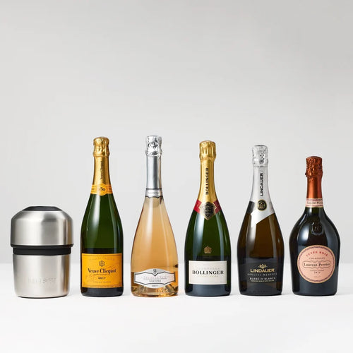 Champagne Cooler - Deep Teal (Limited Edition)