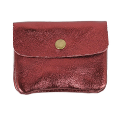 Metallic Coin Purse