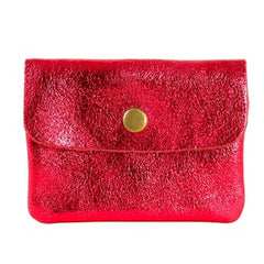 Metallic Coin Purse