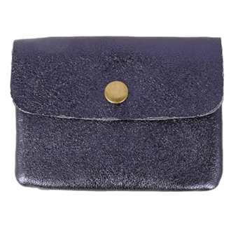 Metallic Coin Purse