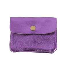 Metallic Coin Purse