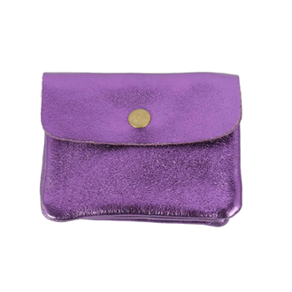 Metallic Coin Purse