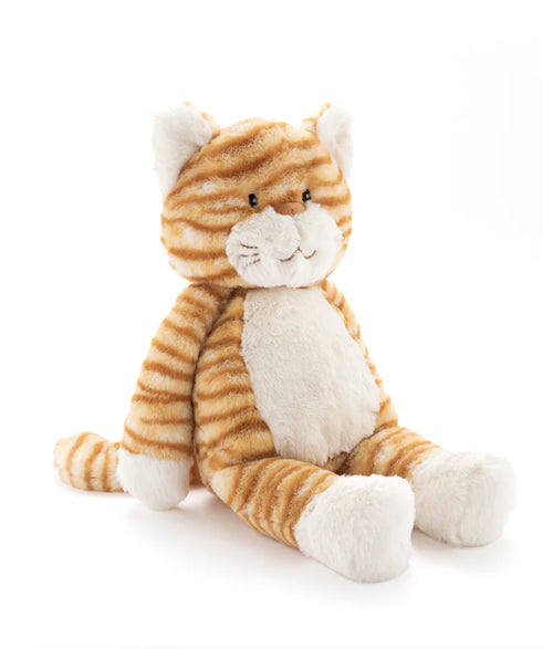 Ginger the Cat