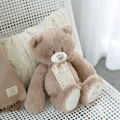 My First Teddy - Tan 24cm